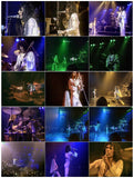 Queen Live At The Hammersmith Odeon December 24, 1975 DVD